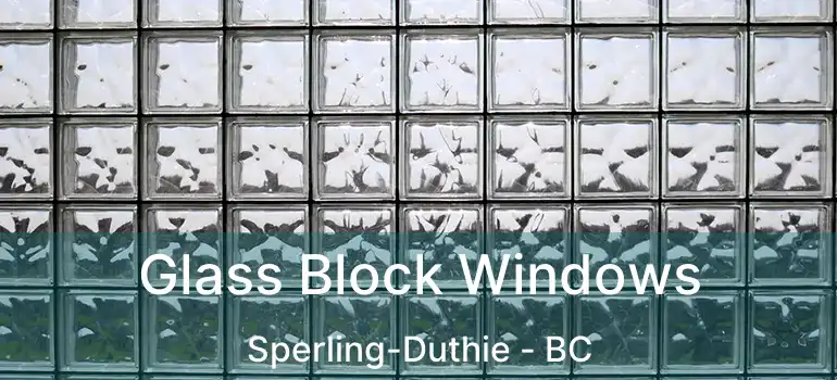  Glass Block Windows Sperling-Duthie - BC