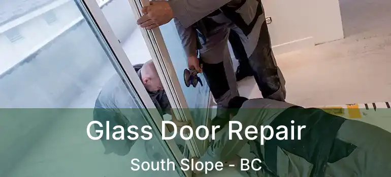  Glass Door Repair South Slope - BC