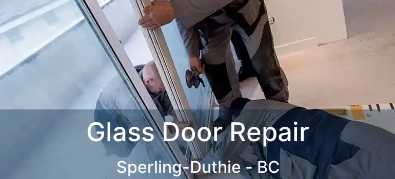  Glass Door Repair Sperling-Duthie - BC