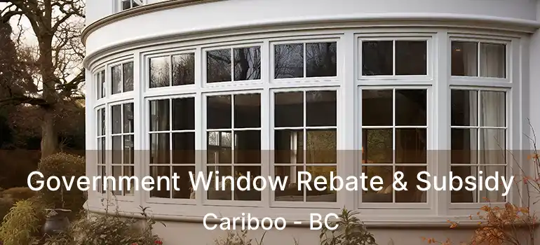  Government Window Rebate & Subsidy Cariboo - BC