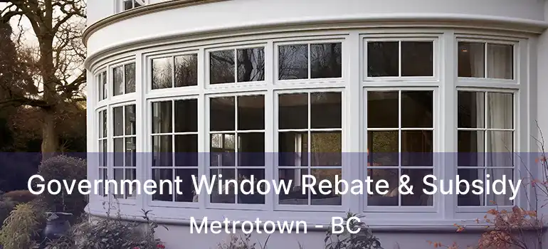  Government Window Rebate & Subsidy Metrotown - BC