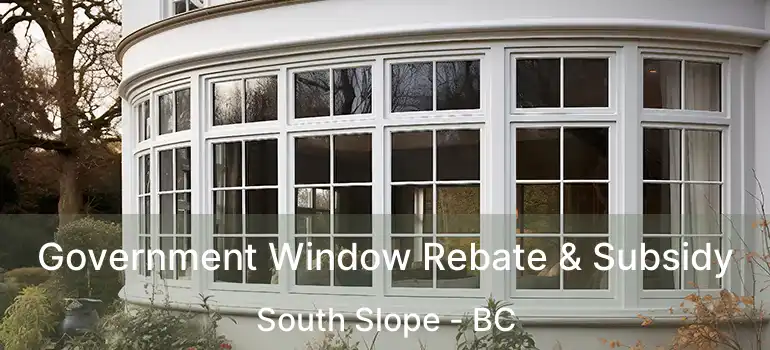  Government Window Rebate & Subsidy South Slope - BC