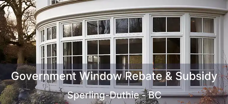  Government Window Rebate & Subsidy Sperling-Duthie - BC
