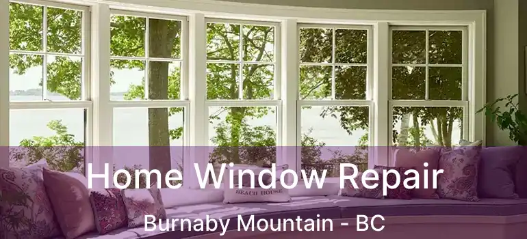  Home Window Repair Burnaby Mountain - BC