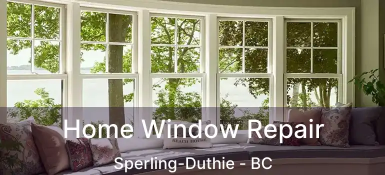  Home Window Repair Sperling-Duthie - BC