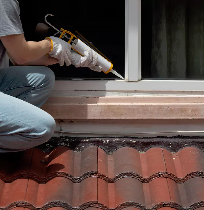 Roof Window Services in Burnaby, British Columbia