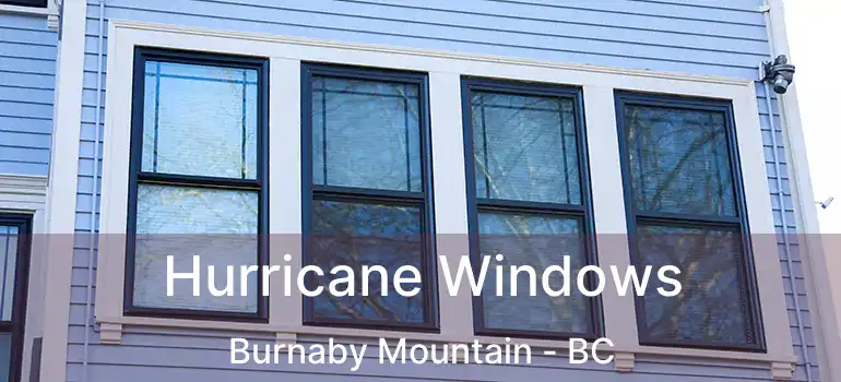  Hurricane Windows Burnaby Mountain - BC