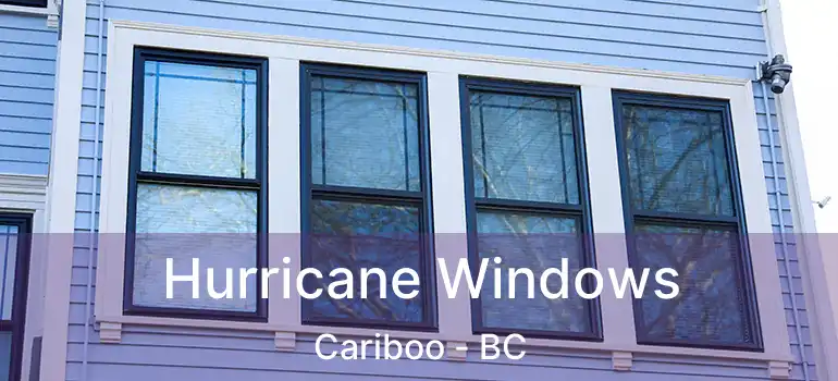  Hurricane Windows Cariboo - BC