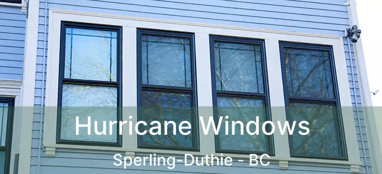  Hurricane Windows Sperling-Duthie - BC