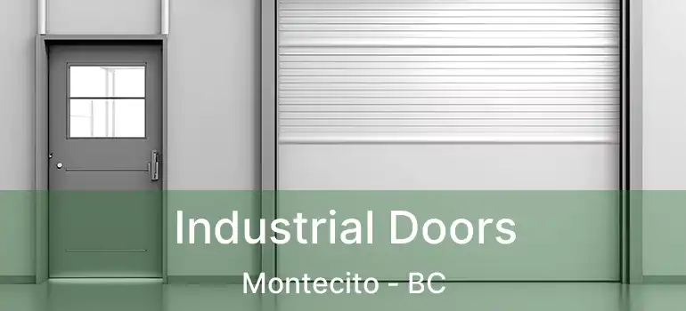  Industrial Doors Montecito - BC