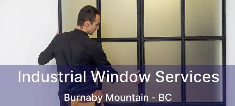  Industrial Window Services Burnaby Mountain - BC