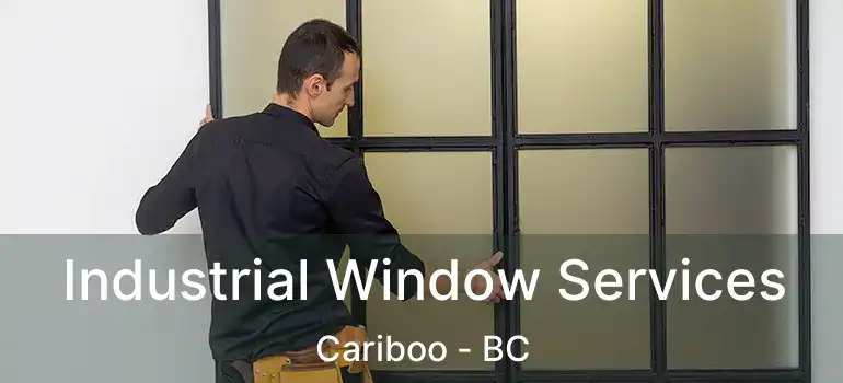  Industrial Window Services Cariboo - BC