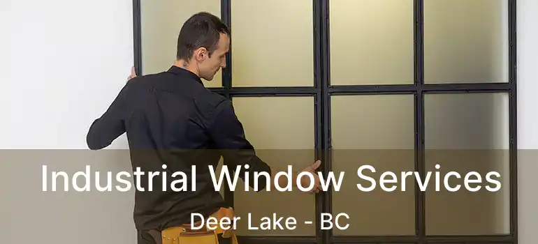  Industrial Window Services Deer Lake - BC