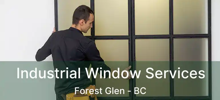  Industrial Window Services Forest Glen - BC
