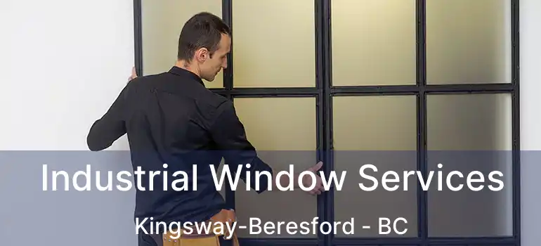  Industrial Window Services Kingsway-Beresford - BC
