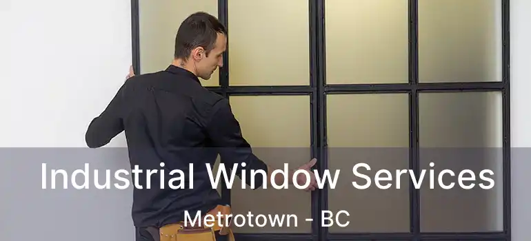  Industrial Window Services Metrotown - BC