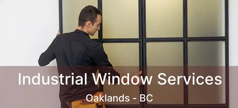  Industrial Window Services Oaklands - BC