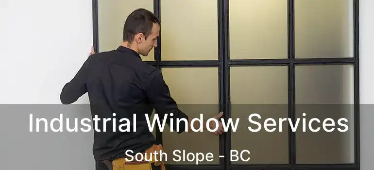  Industrial Window Services South Slope - BC