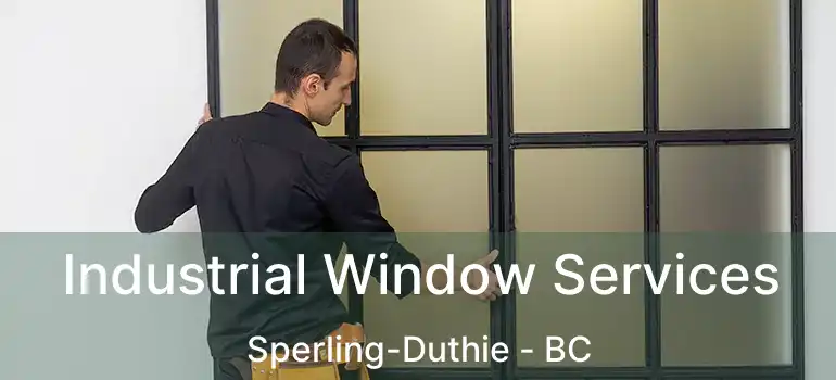  Industrial Window Services Sperling-Duthie - BC