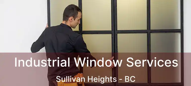  Industrial Window Services Sullivan Heights - BC