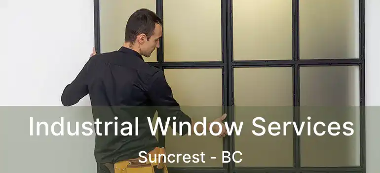  Industrial Window Services Suncrest - BC