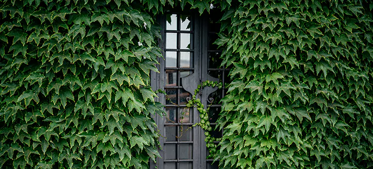 Garden Gate Repair in Burnaby, BC