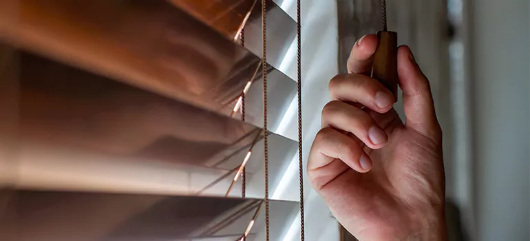 Double Roller Blinds in Burnaby, British Columbia
