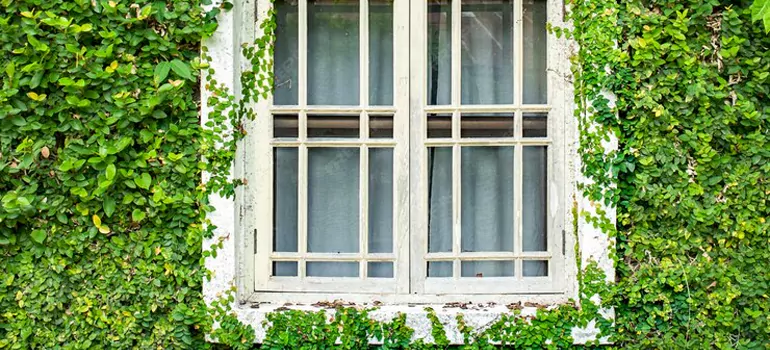 Garden Window Repair Near Me in Burnaby, BC