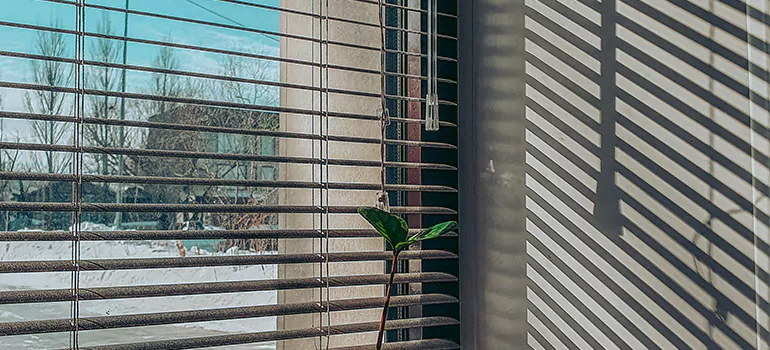 Commercial Window Blinds in Burnaby, BC