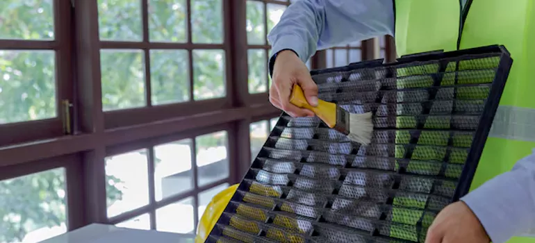 Traditional Window Grille Installation Options in Burnaby, BC