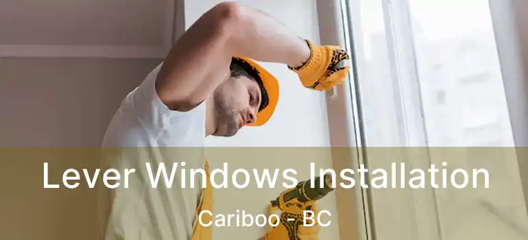  Lever Windows Installation Cariboo - BC