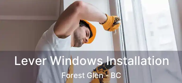  Lever Windows Installation Forest Glen - BC