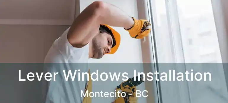  Lever Windows Installation Montecito - BC