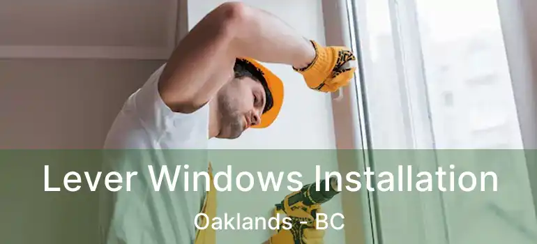  Lever Windows Installation Oaklands - BC