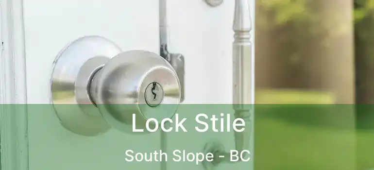  Lock Stile South Slope - BC