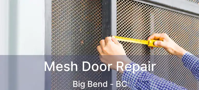  Mesh Door Repair Big Bend - BC