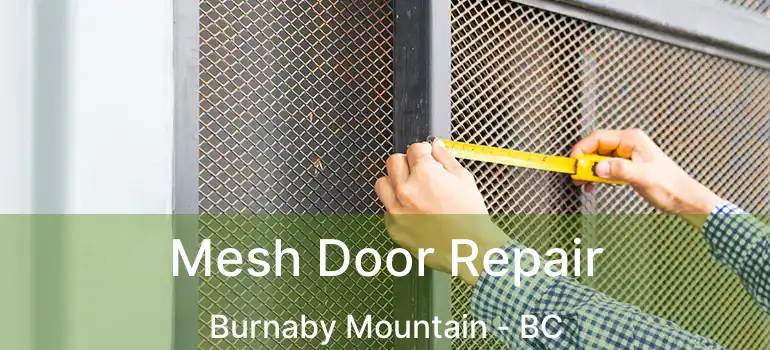  Mesh Door Repair Burnaby Mountain - BC