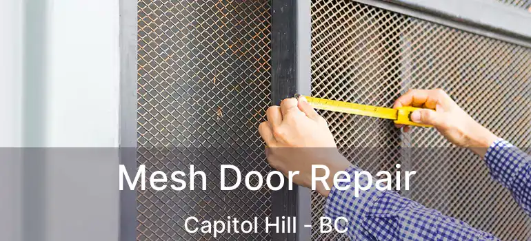  Mesh Door Repair Capitol Hill - BC