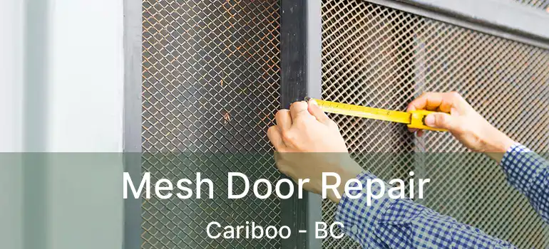  Mesh Door Repair Cariboo - BC