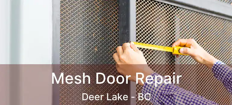  Mesh Door Repair Deer Lake - BC
