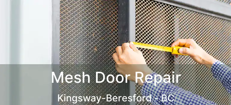  Mesh Door Repair Kingsway-Beresford - BC