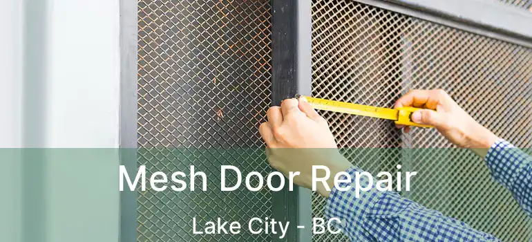  Mesh Door Repair Lake City - BC