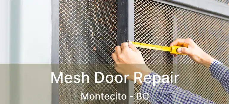  Mesh Door Repair Montecito - BC