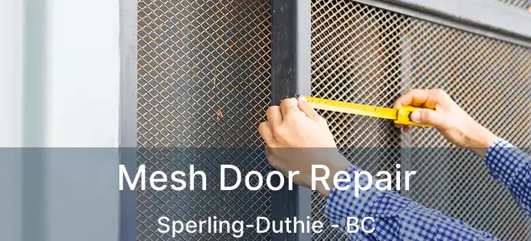  Mesh Door Repair Sperling-Duthie - BC