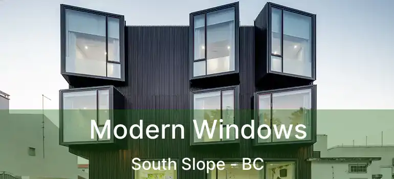  Modern Windows South Slope - BC
