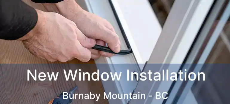  New Window Installation Burnaby Mountain - BC