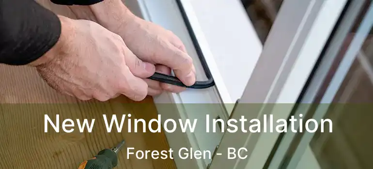  New Window Installation Forest Glen - BC