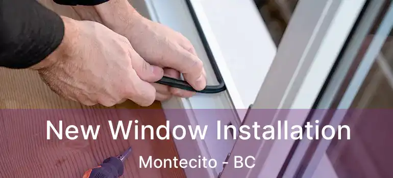  New Window Installation Montecito - BC
