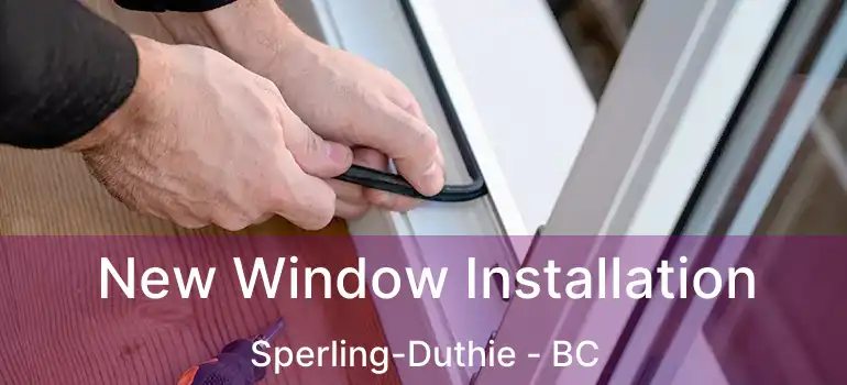 New Window Installation Sperling-Duthie - BC