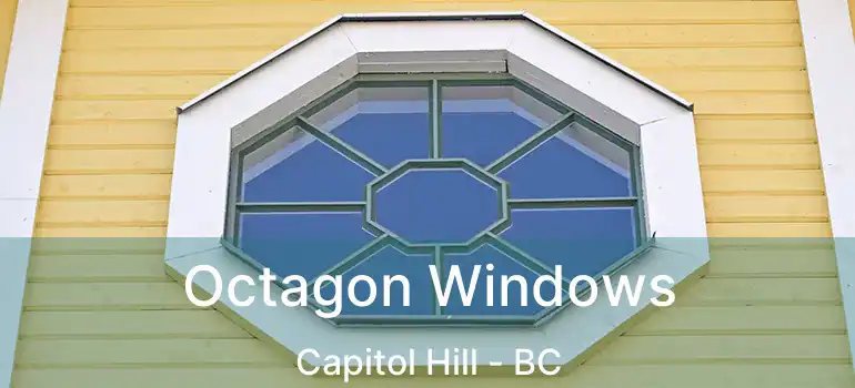  Octagon Windows Capitol Hill - BC
